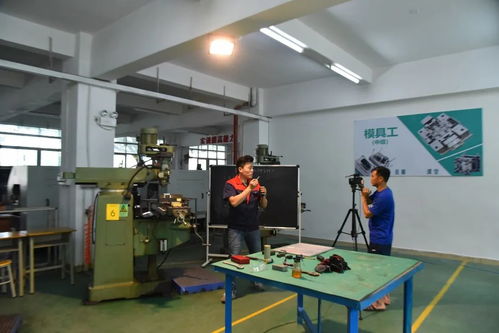 創(chuàng)新培訓(xùn)服務(wù)企業(yè) 寶山技工全面啟動(dòng)企業(yè)適崗培訓(xùn)工作，聚焦信息技術(shù)咨詢服務(wù)
